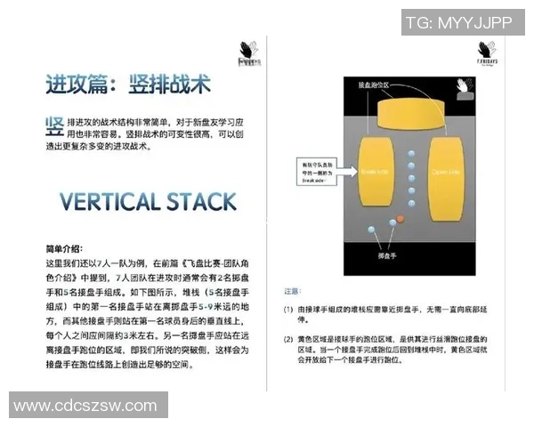 上海飞盘队战术表现深度分析与数据解读探讨